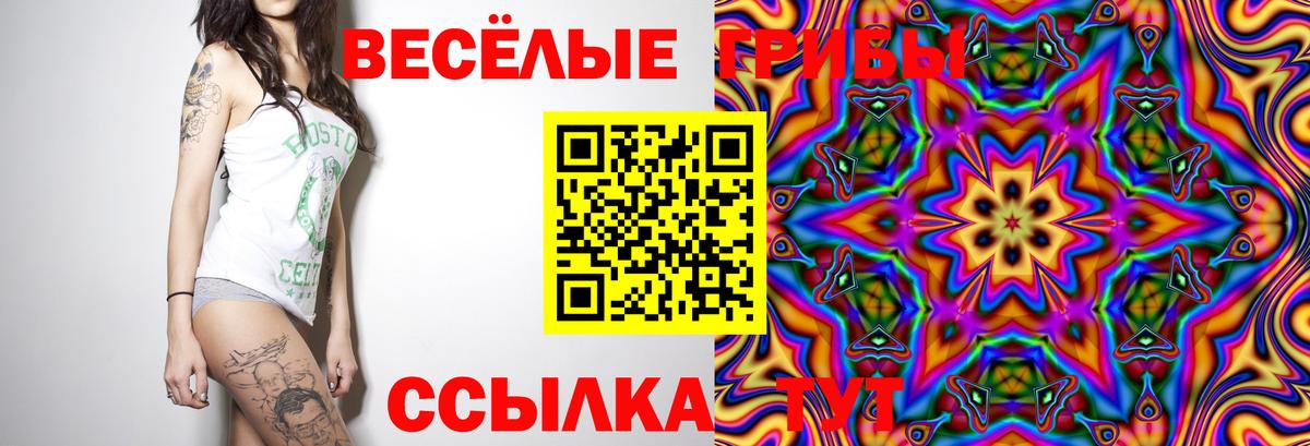 Галлюциногенные грибы прущие грибы  Вход с VPN  Углич 