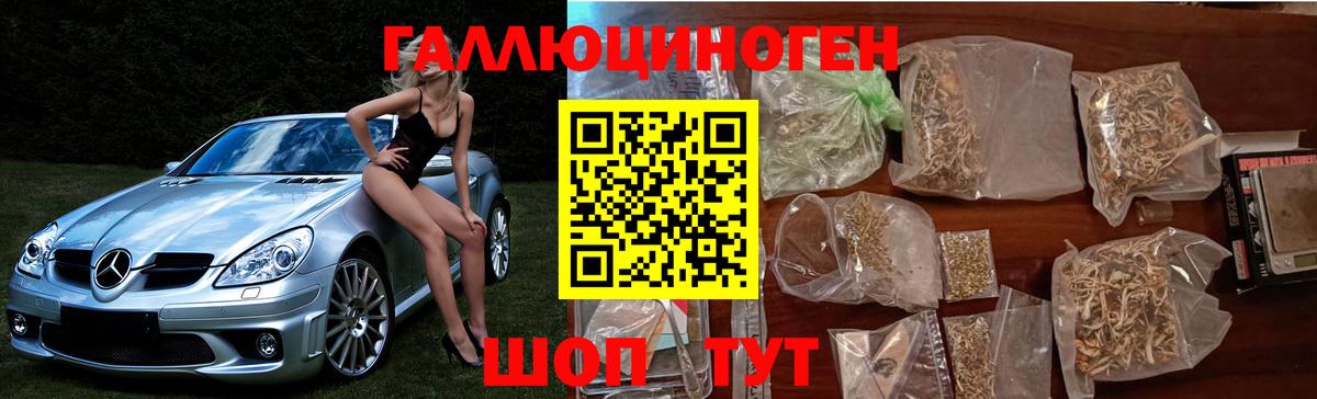 Галлюциногенные грибы прущие грибы Углич